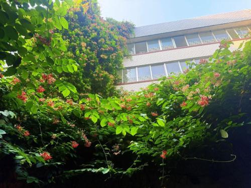 a building with a bunch of trees and flowers at Lakeside Inn in Guilin