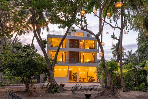ein Haus inmitten einiger Bäume in der Unterkunft Odi Beachfront Kamadhoo in Kamadhoo