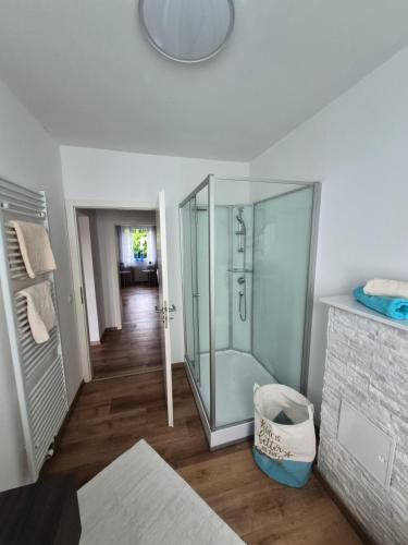 a bathroom with a glass shower in a room at FeWo Carolina in Püttlingen