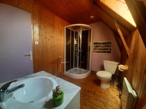 a bathroom with a tub and a shower and a toilet at La Ruche - Coquelicot in Mauriac