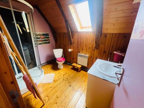 a bathroom with a toilet and a sink at Gîte La Ruche in Mauriac