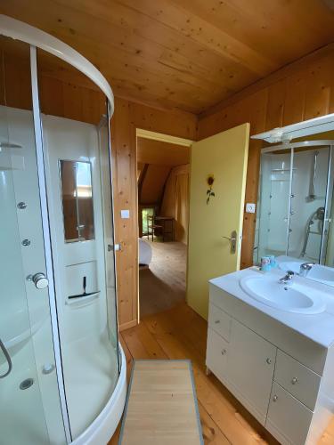 a bathroom with a shower and a sink at La Ruche - Tournesol in Mauriac