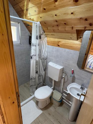 a bathroom with a toilet and a shower and a sink at Village Cottage in Žabljak