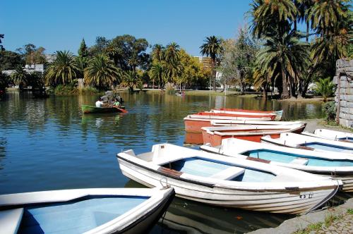 a group of boats docked on a river with palm trees at Ana's Design Apartments in Lisbon