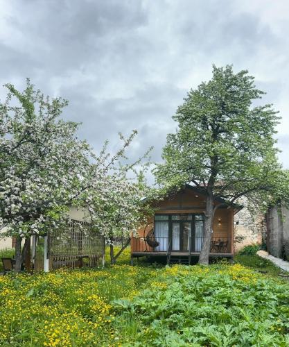 a small house with a tree in a field at Cottage Ametapi in Mestia