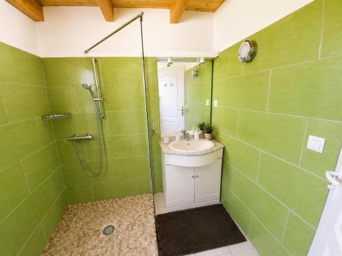 a green bathroom with a sink and a shower at Chambres de l'Igues in Montfaucon