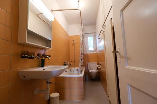 Spacious Apartments Near Zürich City Center