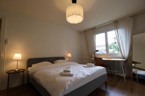 Spacious Apartments Near Zürich City Center