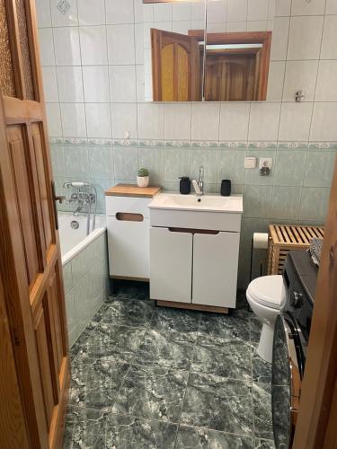 a bathroom with a sink and a toilet and a tub at Ptasi dół in Sulęczyno