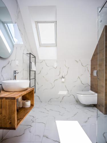 a bathroom with a sink and a toilet at Hellene Snow Starý Smokovec in Starý Smokovec