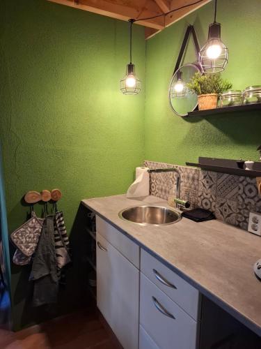 a kitchen with a sink and a green wall at Drenthse Klaver in Borger in Borger