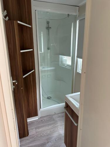 a bathroom with a glass shower and a sink at El Chate in Sarvisé