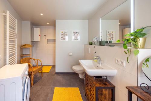 a bathroom with a sink and a toilet at Apartment-Haus Gundelfinger in Gräfenberg