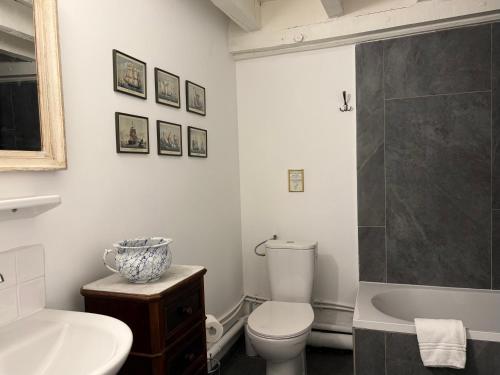 a bathroom with a toilet and a sink and a shower at La Grange à Grains - Château-Renard in Château-Renard