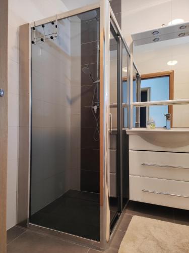 a shower with a glass door in a bathroom at Kata 2 in Ližnjan