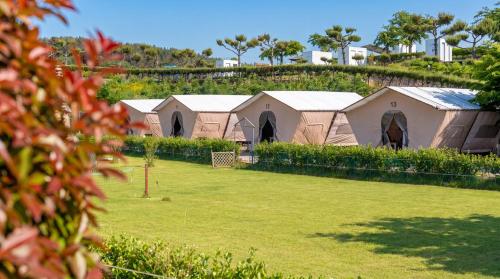 a row of tents in a field of grass at Taean Bibi ArtGlamping in Taean