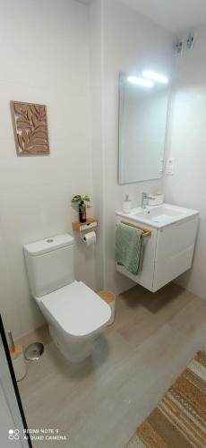 a bathroom with a white toilet and a mirror at Davinia apartamento centro in Nerja