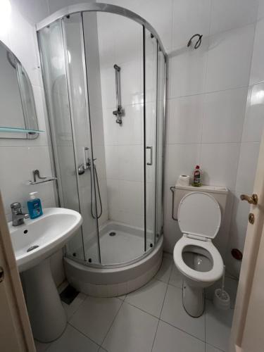 a bathroom with a shower and a toilet and a sink at Obala Ineks in Sutomore