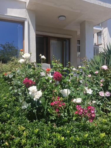 a garden of flowers in front of a house at Sun Village House 14 in Byala
