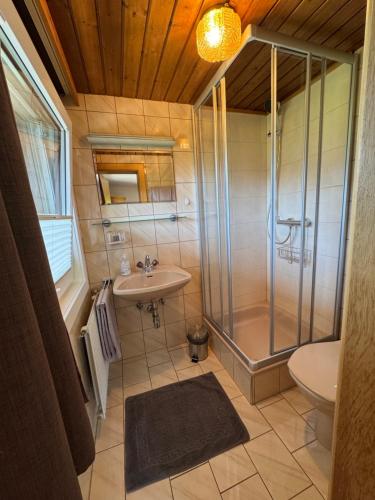 a bathroom with a shower and a sink and a toilet at Landhaus Aigner in Mittersill