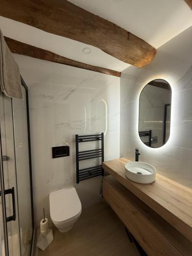 a bathroom with a toilet and a sink and a mirror at Jaca Stone in Banaguás