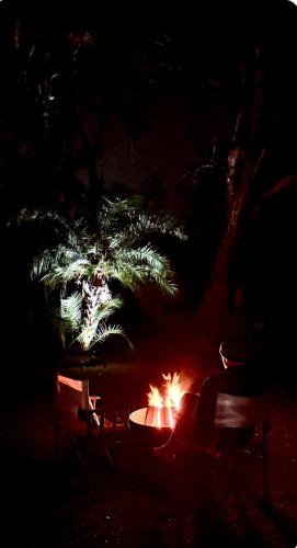 a fire pit in a park at night at Lake front, Mid-century house with sauna 2 in Budgewoi