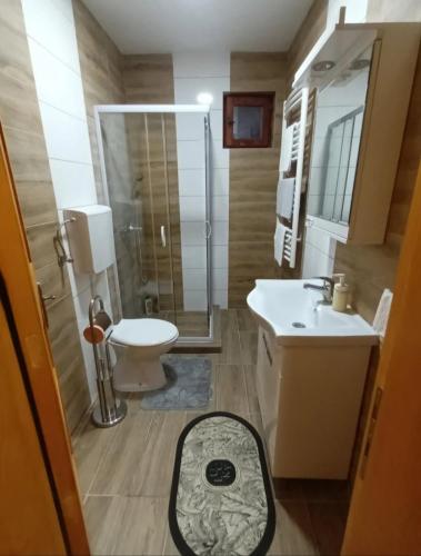 a bathroom with a toilet and a sink and a shower at Kuća za odmor Jarić in Ležimir
