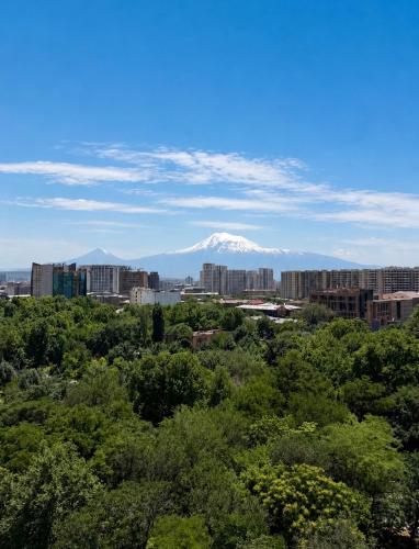 a view of a city with a mountain in the background at Yerevan Resident Hotel in Yerevan