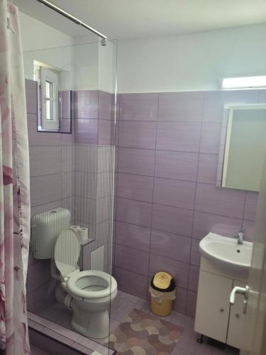 a bathroom with a toilet and a sink at Casa Corina in Turda