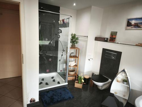 a bathroom with a shower and a toilet at Appartement Klimaanlage WC in Mönchengladbach