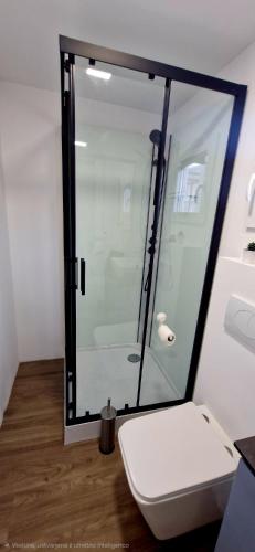 a bathroom with a toilet and a glass shower at Mobile Homes Gasperino in Pirovac