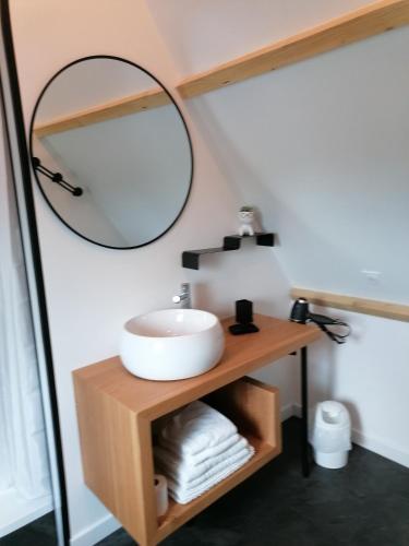 a bathroom with a sink and a mirror at Auberge a la Ferme in Surques