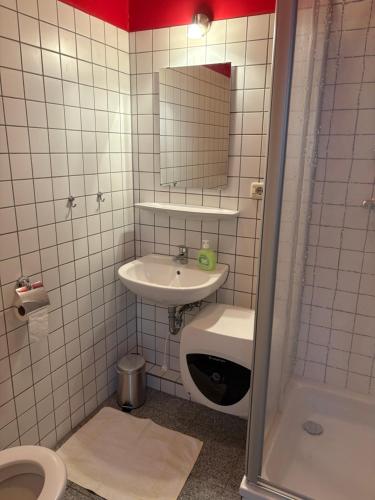 a bathroom with a sink and a toilet and a mirror at Altes Gutshaus Schwiessel in Prebberede