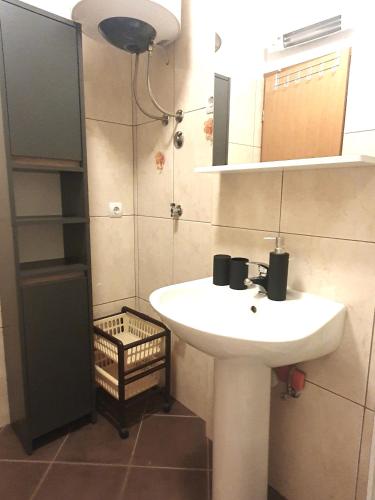 a bathroom with a white sink and a mirror at Apartments Jelica in Slatine