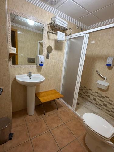 a bathroom with a sink and a shower and a toilet at Hotel Zacatin in Alcalá la Real