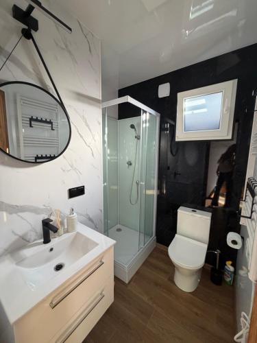 a bathroom with a shower and a toilet and a sink at Domki Na Talerzu in Skorochow