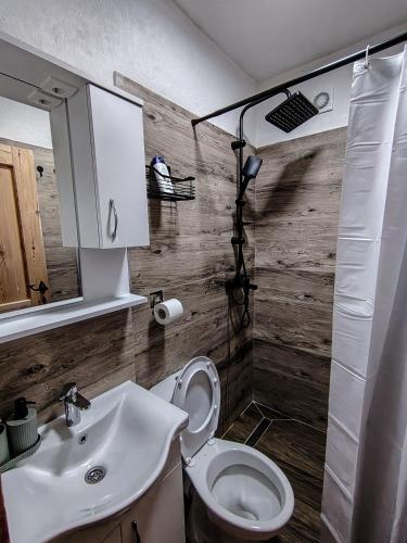 a bathroom with a toilet and a sink at Wildmont Prokletije in Gusinje