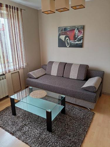a living room with a couch and a glass coffee table at Apartament Kalia in Zamość
