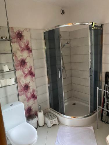 a bathroom with a shower and a toilet at Domek u Ewy in Rydzewo