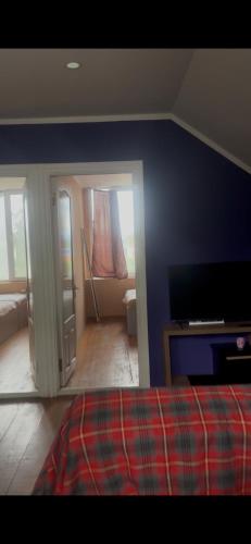a bedroom with a blue wall and a tv at ძველი სახლი Old house in Ureki