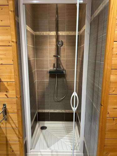 a shower in a bathroom with a glass door at Chalet Isard in Gère-Belesten
