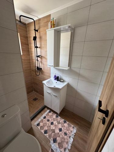 a bathroom with a toilet and a sink at Pool House in Toplica