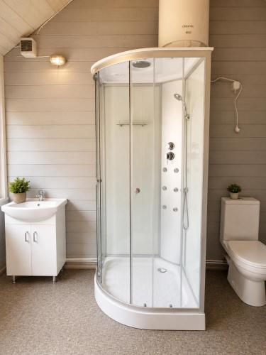 a shower in a bathroom with a toilet and a sink at Pool Hause Palanga in Palanga