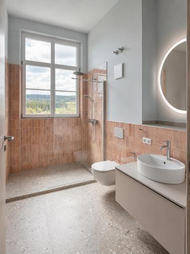 a bathroom with a sink and a toilet and a window at stuub schluchsee in Schluchsee