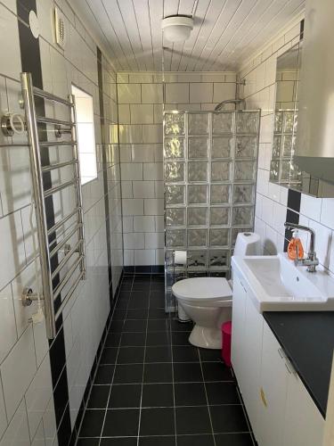 a bathroom with a toilet and a sink at Brygghuset between Hjo and Tidaholm in Hjo