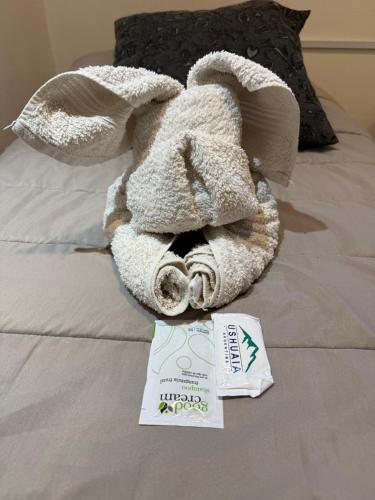 a stuffed animal is sitting on a bed with a ticket at MS Hotel Campos 26 in Ushuaia