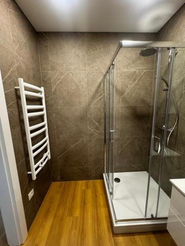 a shower with a glass door in a bathroom at River View Apartment in the Park in Marijampolė