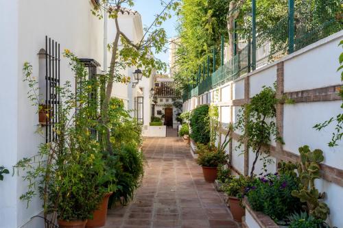 Casa Pueblo Lopez