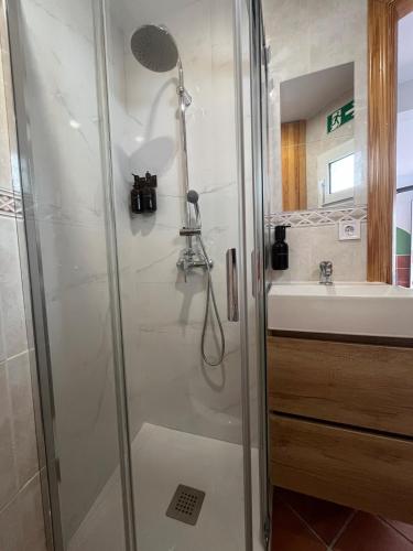 a bathroom with a shower and a sink at La Casita de Sara in Cercedilla