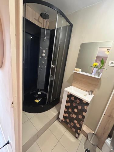 a bathroom with a shower with a sink and a mirror at Le nid gourmand in Andryes